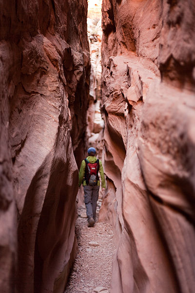 Little_Wild_Horse_Canyon_slot_(4053658370).jpg