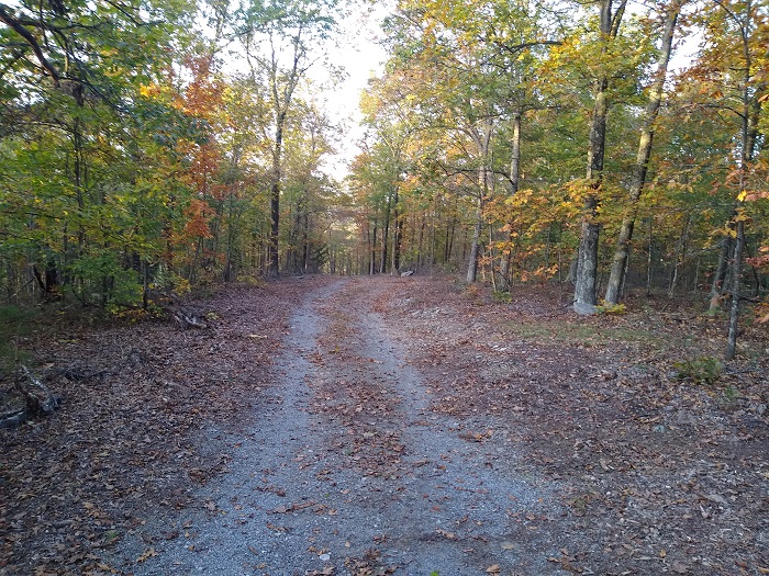 Long Mountain Road.jpg