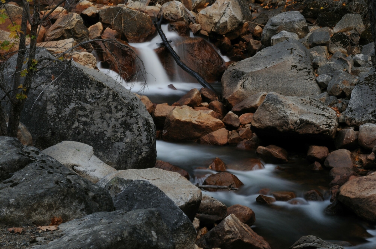 MRD_2304.jpg
