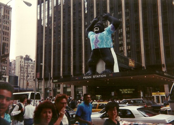 MSG Fall Gorilla.jpg