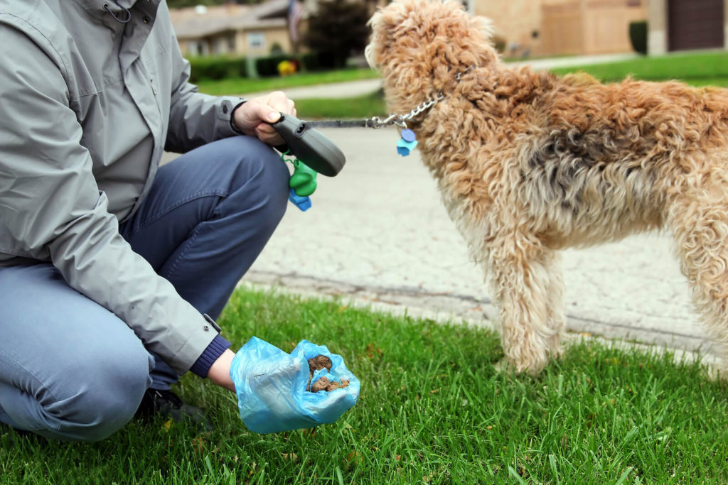 Man-Picking-Up-Dog-Poop-1024x683.jpg