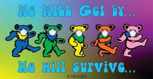 Masked Bears.jpg