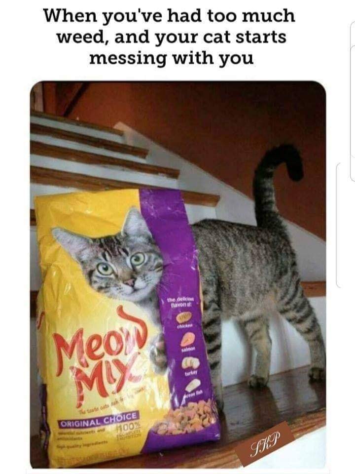 Meow Mix.jpg