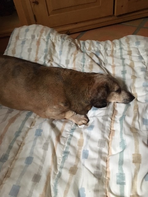 Mr. Charlie.jpg