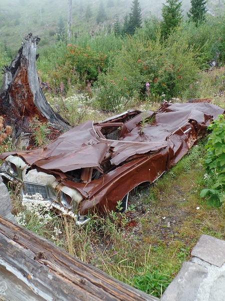 Mt. St Helens Car.JPG