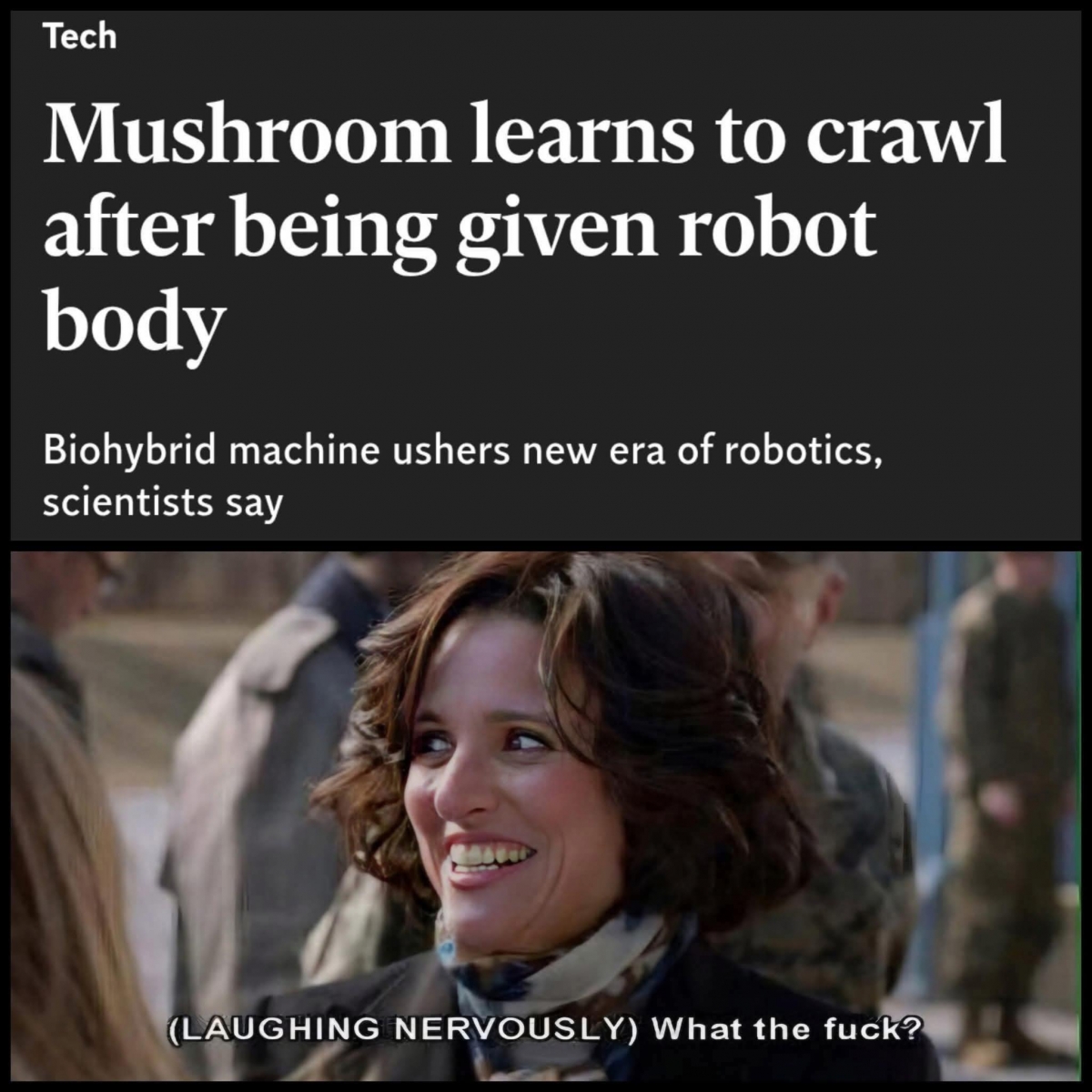 Mushroom Robots.jpg
