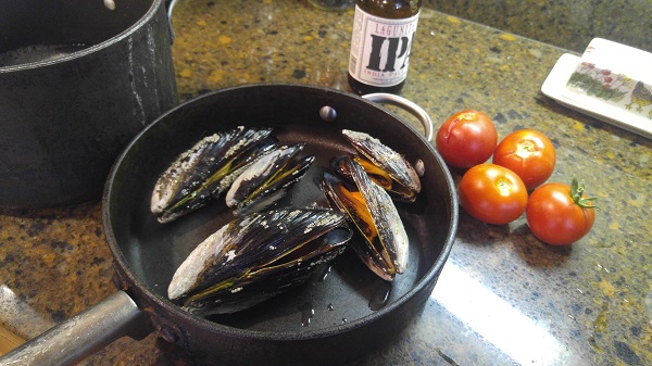 Mussels 2.jpg
