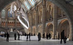 Natural History 2.jpg