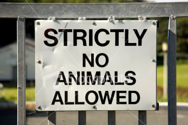 No-animals-in-our-wines.jpg