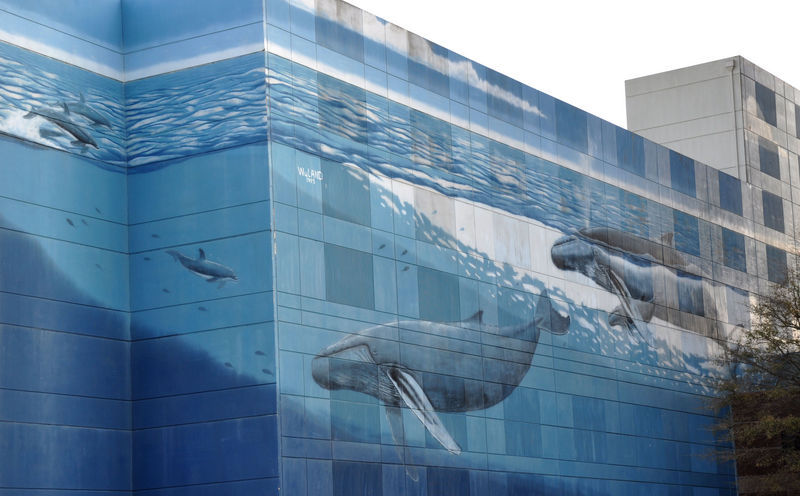 NorfolkWhalingWall.png