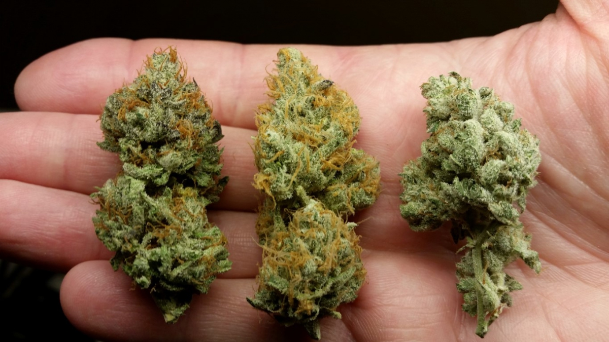OG GS GG4_1.jpg