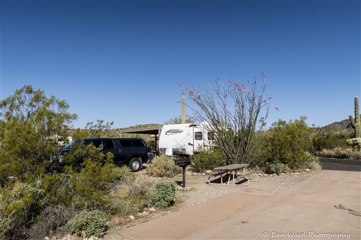 Organ Pipe National Monument-Spring 2021-Camp Cougar (1 of 1) (Small).jpg