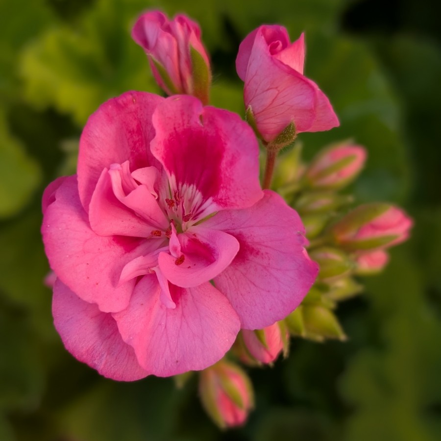 PXL_20260624_233911808.PORTRAIT.jpg