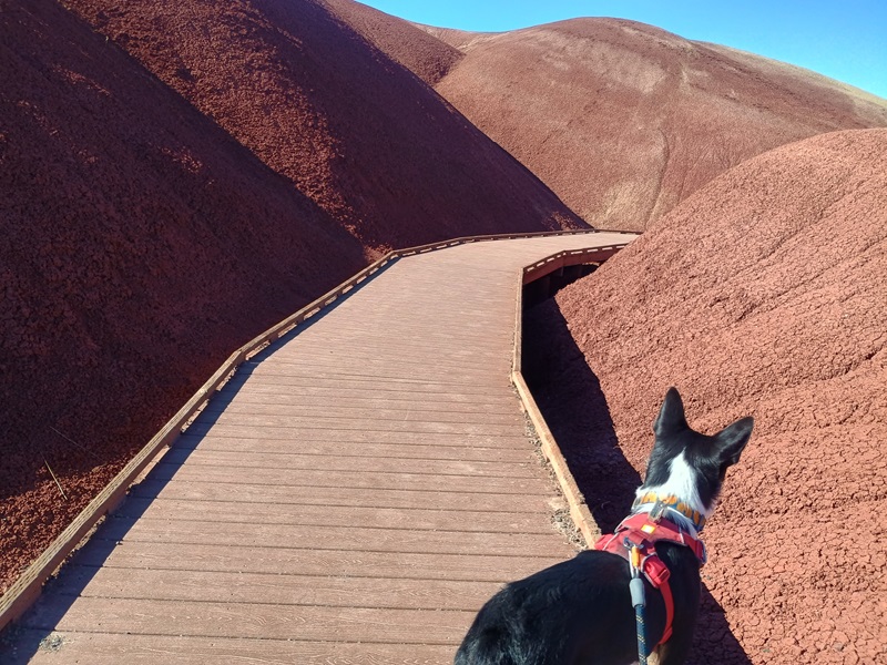 Painted Hills.jpg