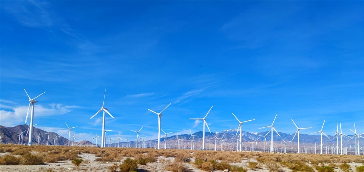 Palm Springs Windmills (Medium).jpg