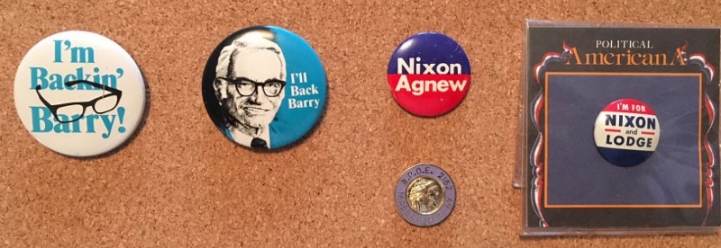 Pins Cropped (800x276).jpg