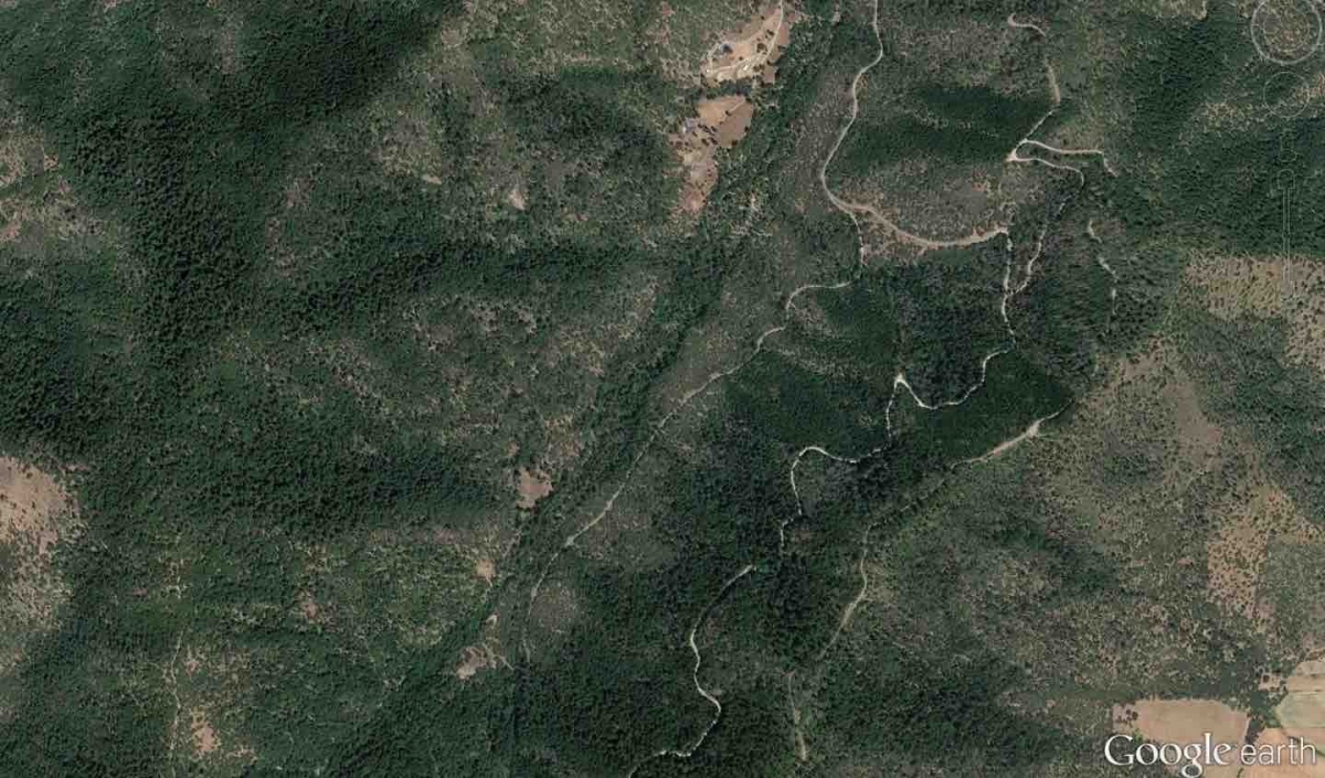 PlacerSite1 copy.jpg