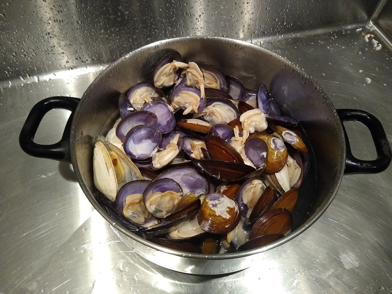 Purple Varnish Clams.jpg