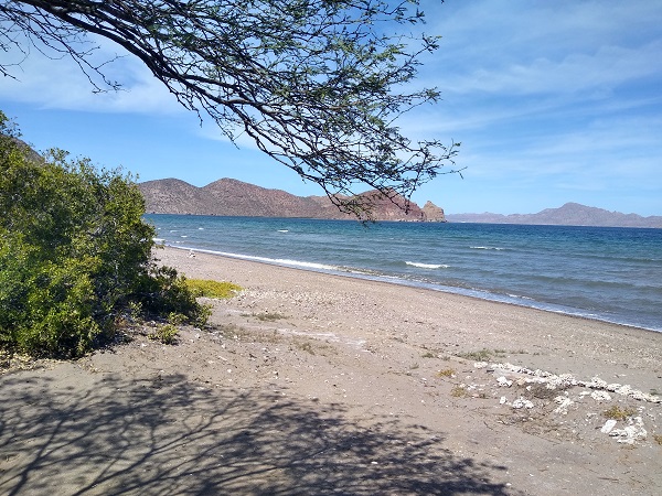 Rattlesnake Beach.jpg