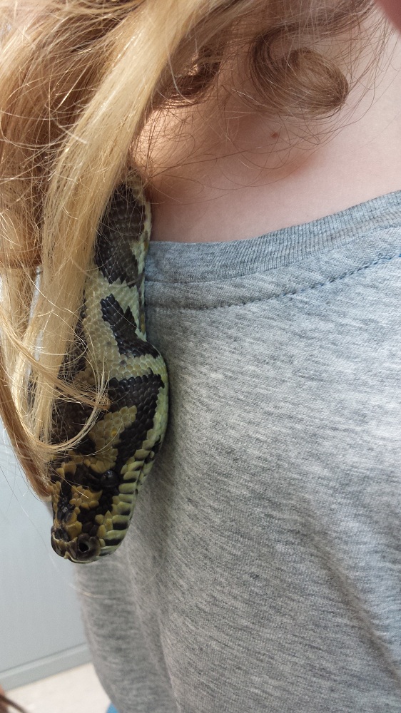 Ruby Snake.jpg