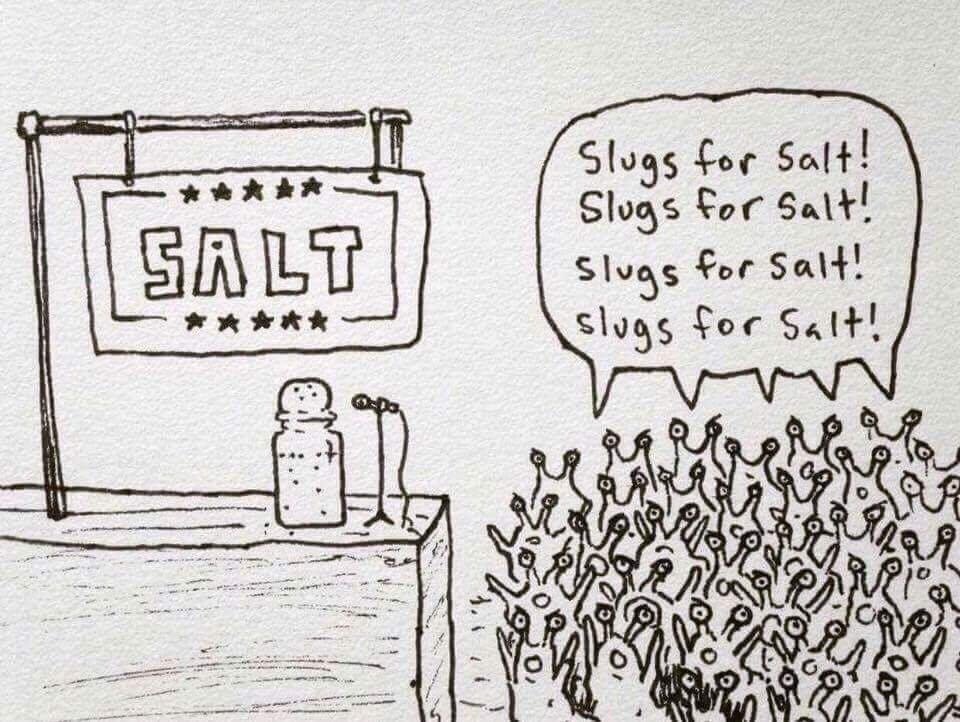 Salt.jpg