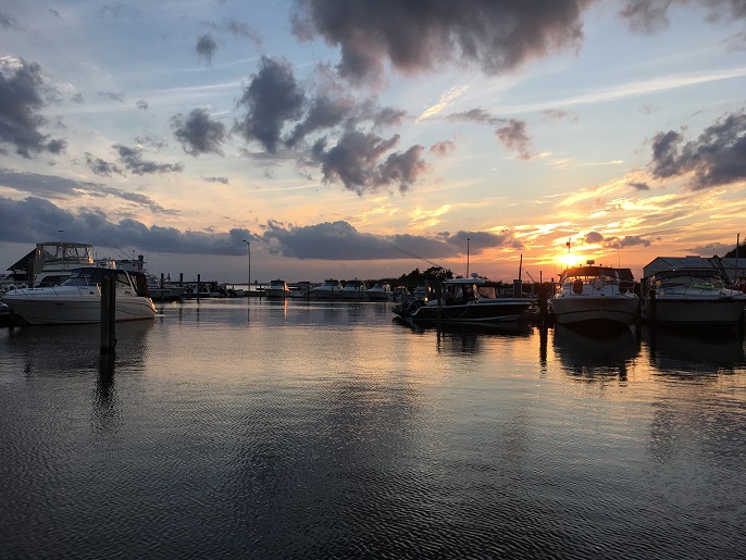 Saville NY Kingstones Fish 08312017 003.jpg