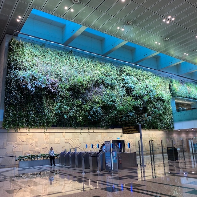 Singapore Airport.JPG