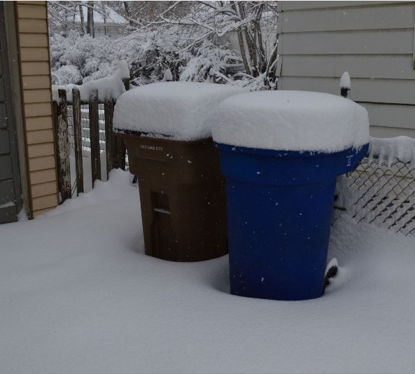 Snow.JPG