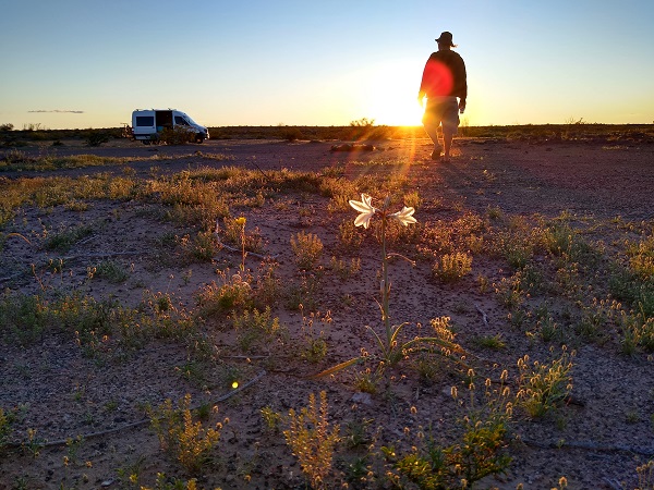 Sonoran Desert.jpg