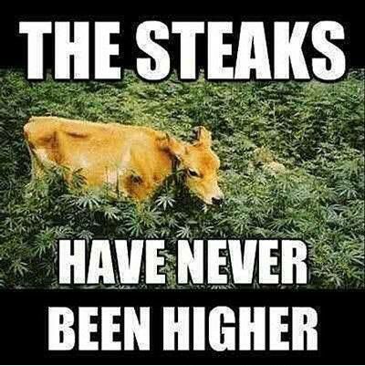 Steaks.jpg