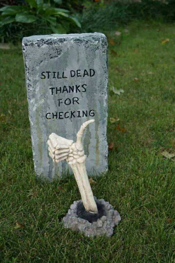 Still Dead .jpg
