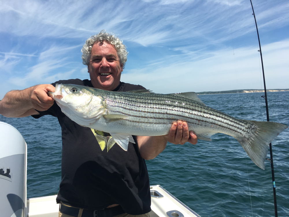 StripedBassFun.JPG