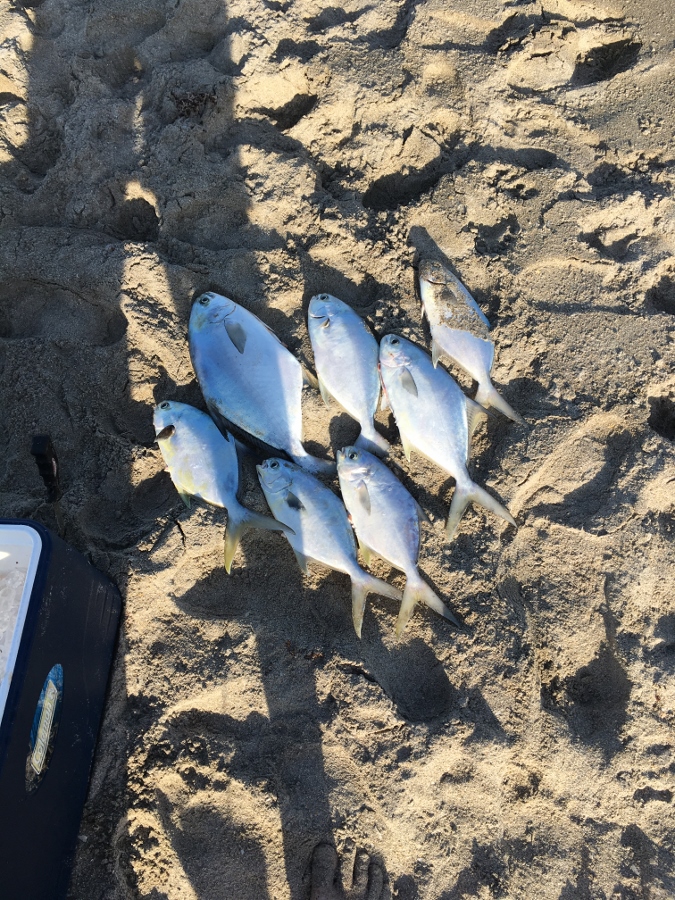 Tims phone 097 (675x900).jpg