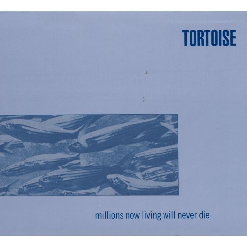 Tortoise.jpg