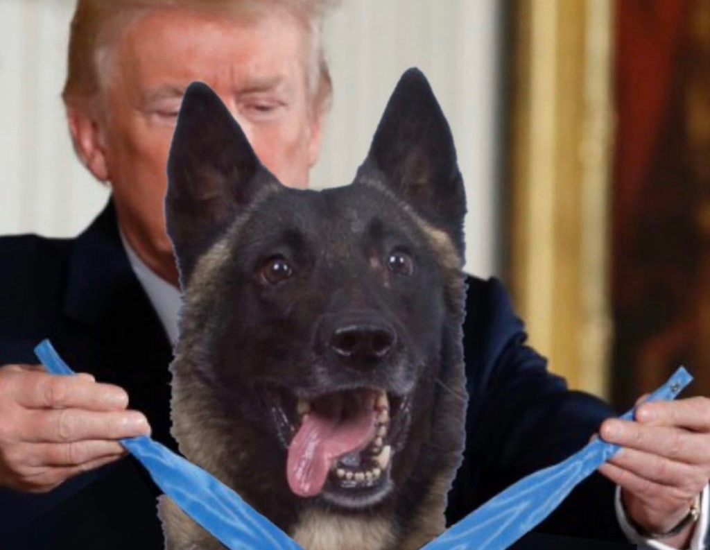 Trump dog.jpg