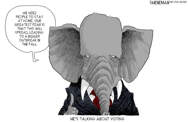 Voting_0.jpg