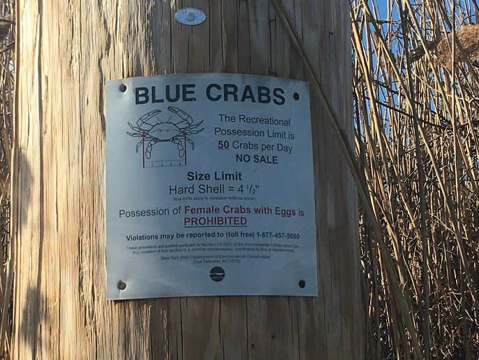 West Islip 01 2018 The Crab Sign.jpg