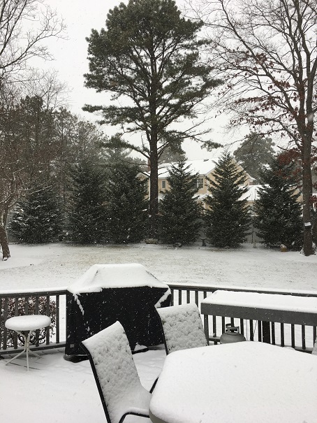 Winter 2017 Back Yard resize_0.jpg