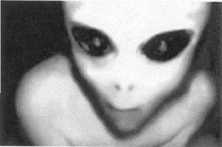 alienowl.jpg