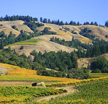anderson-valley350.jpg