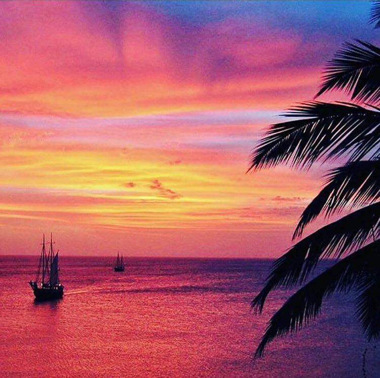 aruba.jpg