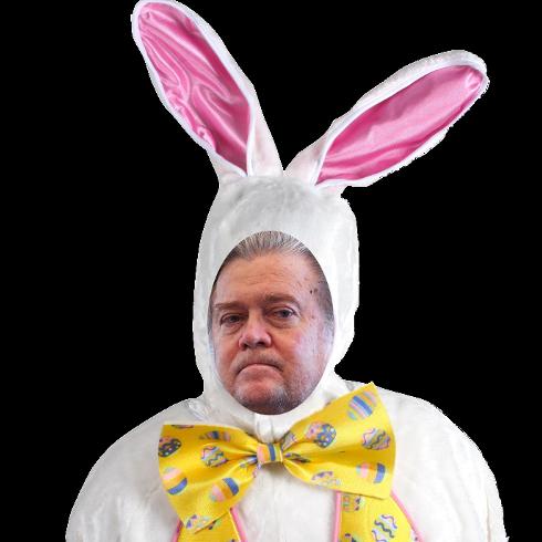 bannon.bunny_.jpg