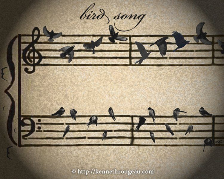 birdsong_0.jpg