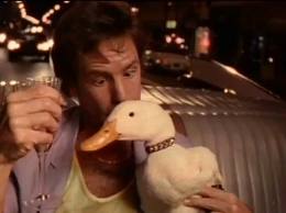 bobby-duck-22.jpeg