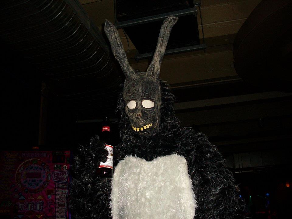 bunny 2.jpg