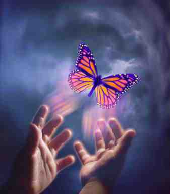butterfly-with-open-hands_0.jpg