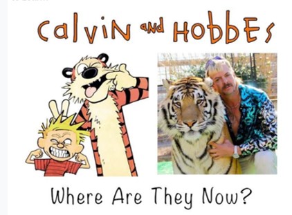 calvin_0.jpg