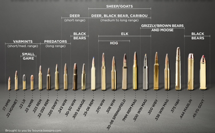 cartridge_chart2_0.jpg