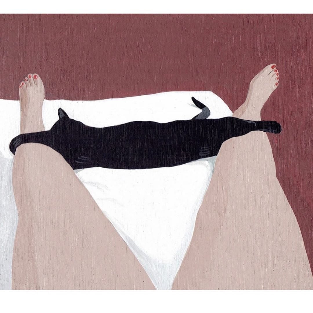 cat_Optical illusion_nice kitty_panties around ankles.jpg