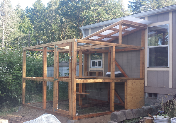 catio viva.png